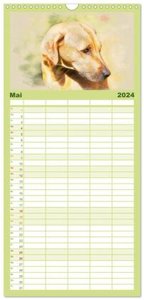 Familienplaner 2024 - Rhodesian Ridgeback 2024 mit 5 Spalten (Wandkalender, 21 x 45 cm) CALVENDO