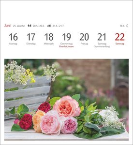 Blumenpracht Postkartenkalender 2025 - Wochenkalender mit 53 Postkarten