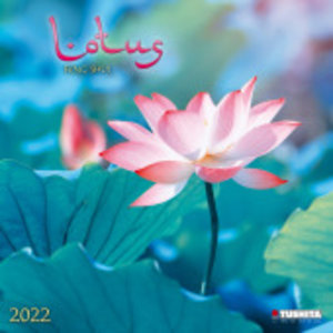Lotus Feng Shui 2022