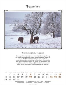 Der Hundertjährige Kalender 2026