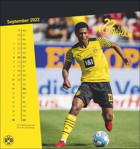 BVB Postkartenkalender 2022