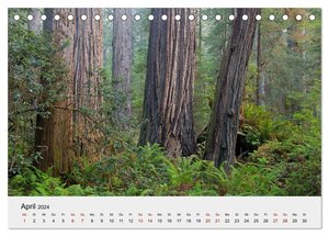 Kalifornien - Küsten und Wüsten, Städte und Berge (Tischkalender 2024 DIN A5 quer), CALVENDO Monatskalender