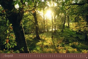 Zauberwälder Edition Kalender 2022