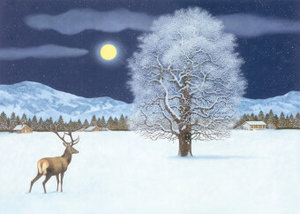Zauberhafte Winternacht  Adventskalender