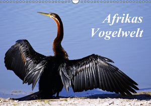 Afrikas Vogelwelt