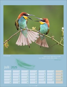 Heimische Vögel Kalender 2025