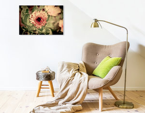 Premium Textil-Leinwand 75 cm x 50 cm quer Habichtskraut auf Blumenwiese