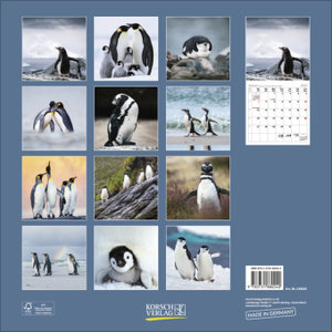Pinguine 2025