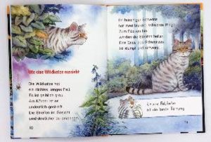 Sachwissen für Erstleser: Die Wildkatze