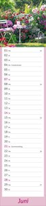 times&more Garten Langplaner 2026