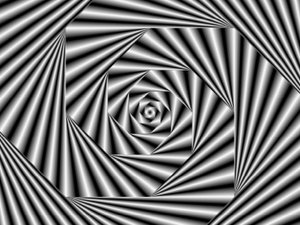 CALVENDO Puzzle Zebra-Illusion 1000 Teile Puzzle quer