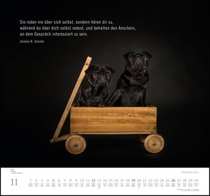 Hundeleben 2023 - DUMONT Wandkalender - mit den wichtigsten Feiertagen - Format 38,0 x 35,5 cm