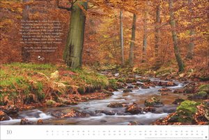Der deutsche Wald - Ein literarischer Spaziergang Kalender 2026 - Ein literarischer Spaziergang