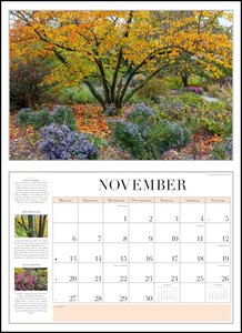 Garten-Kalender 2023 - Broschürenkalender - mit informativen Texten - mit Jahresplaner - Format 42 x 29 cm