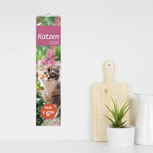 times&more Katzen Langplaner 2026