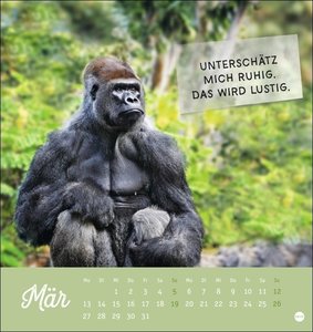 Tierisch gut drauf Postkartenkalender 2023 von Monika Wegler. Kleiner Kalender zum Aufstellen, Aufhängen und Schmunzeln. Witzige Fotos im Tierkalender 2023.