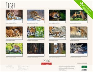 Tiger 2026
