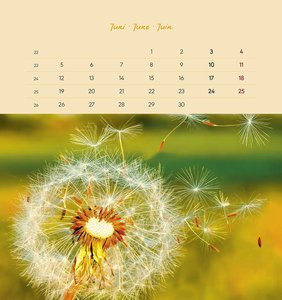 Chill Your Life! 2023 - Postkartenkalender 16x17 cm - Sprüche - zum Aufstellen oder Aufhängen - Monatskalendarium - Gadget - Mitbringsel - Alpha Edition