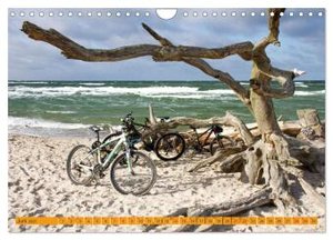 Wilder Darßer Weststrand (Wandkalender 2025 DIN A4 quer), CALVENDO Monatskalender