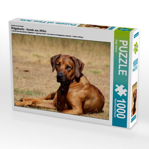 CALVENDO Puzzle Ein Motiv aus dem Kalender Ridgebacks - Hunde aus Afrika 1000 Teile Puzzle quer