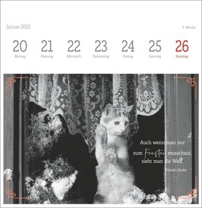 Wegler Katzen Weisheiten Premium-Postkartenkalender 2025
