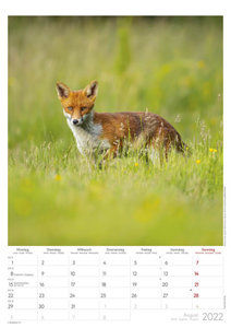 Auf der Pirsch 2022 - Bild-Kalender A3 (29,7x42 cm) - Tier-Kalender - Wandplaner - mit Platz für Notizen - Alpha Edition
