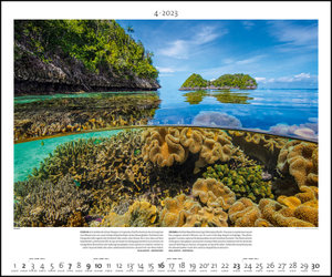 Lebensraum Meer 2023 - Bild-Kalender - Poster-Kalender - 60x50