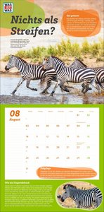 WAS IST WAS Tierwelt Broschurkalender 2026