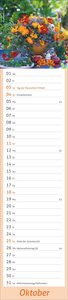 times&more Garten Langplaner 2026