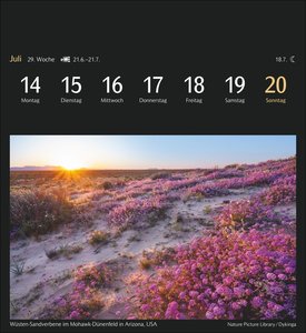 Magic Nature Postkartenkalender Kalender 2025 - Kalender mit 53 Postkarten