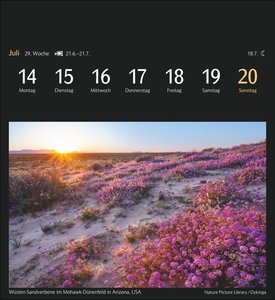 Magic Nature Postkartenkalender 2025