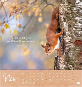 Tage voller Glück Postkartenkalender 2023