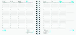 Wochenbuch Assessor 2025 - Bürokalender 15,8x14,7 cm - 1 Woche auf 2 Seiten - mit Ringbindung - Buchkalender - Notizbuch - 790-0098