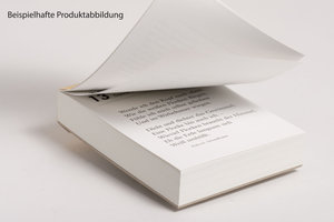 Katzen. Der literarische Tageskalender 2024