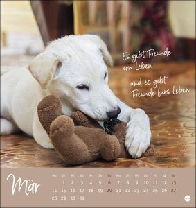 Ziemlich beste Freunde Postkartenkalender 2022