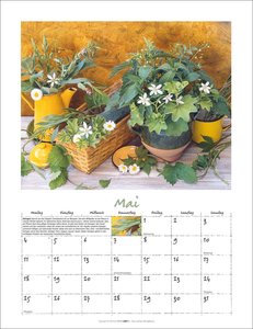 Augenschmaus Kalender 2026 - Gewürze und Kräuter rund ums Jahr