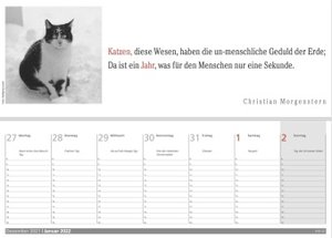 Der literarische Katzen Wochenplaner 2022