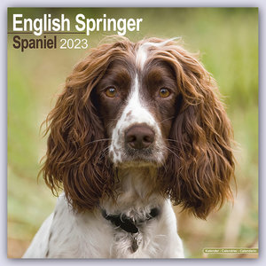 English Springer Spaniels 2023 - 16-Monatskalender