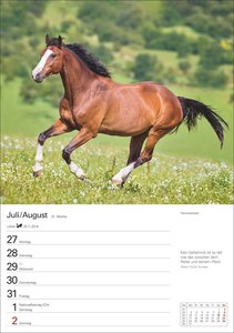 Pferde Wochenplaner 2026 - 53 faszinierende Fotografien