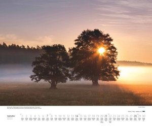 Bäume 2025 – Wandkalender 60x50 cm – Spiralbindung