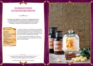 Das Buch für Potter-Fans: Sweets und Candys