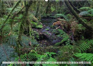 Neuseeland - Wilde Wälder (Wandkalender 2022 DIN A2 quer)