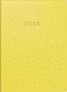Taschenkalender Modell Technik S (2025) Dots