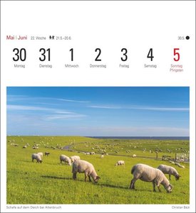 Nordseeküste Kalender 2022
