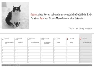 Der literarische Katzen Wochenplaner 2022