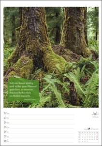 Magie des Waldes Wochenplaner 2024. Kalender mit Fotos, die die Schönheit des Waldes meisterhaft zur Geltung bringen. Praktischer Wandplaner mit hochwertigen Naturaufnahmen