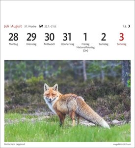 Schweden Sehnsuchtskalender 2025 - Wochenkalender mit 53 Postkarten