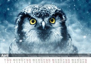 Eulen - Beobachter der Nacht 2022 - Timokrates Kalender, Tischkalender, Bildkalender - DIN A5 (21 x 15 cm)