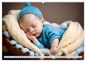 Schlummernde Babys (Wandkalender 2025 DIN A2 quer), CALVENDO Monatskalender