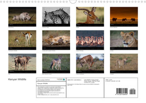 Kenyan Wildlife (Wall Calendar 2022 DIN A3 Landscape)